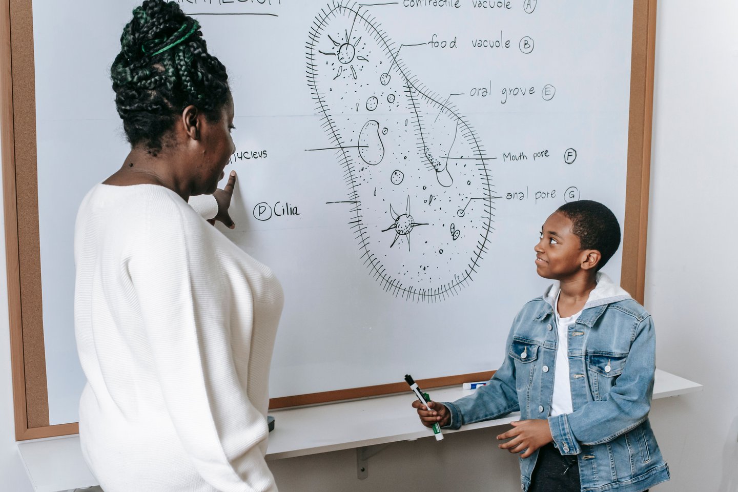 What Is a Twice-Exceptional (2e) Child? Everything Parents Need to Know
