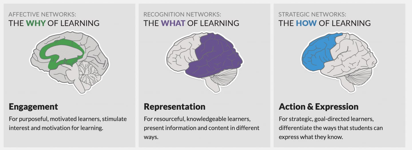 Universal Design for Learning brain diagram: engagement (the why), representation (the what), and action and expression (the how) of learning